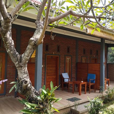 Tunjung Guest House Lovina Beach 불레렝 외부 사진