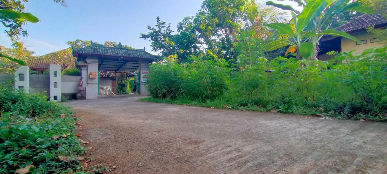 Tunjung Guest House Lovina Beach 불레렝 외부 사진