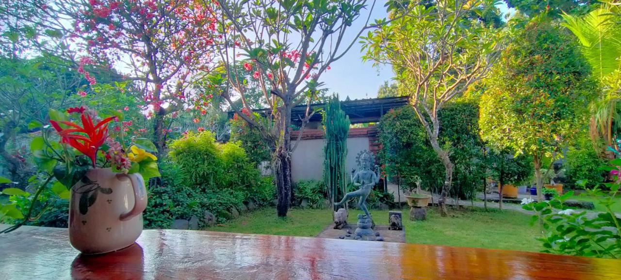 Tunjung Guest House Lovina Beach 불레렝 외부 사진
