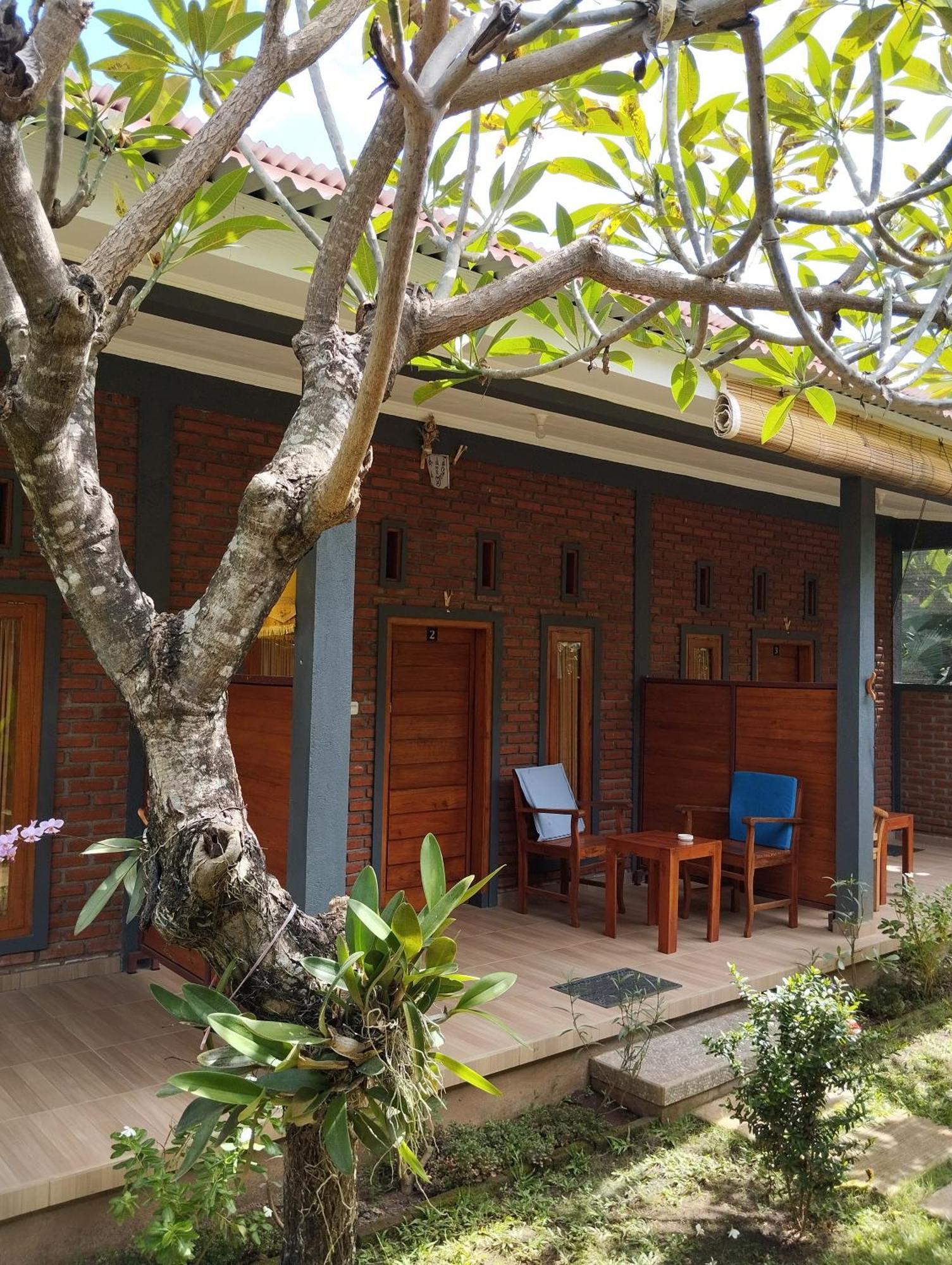 Tunjung Guest House Lovina Beach 불레렝 외부 사진